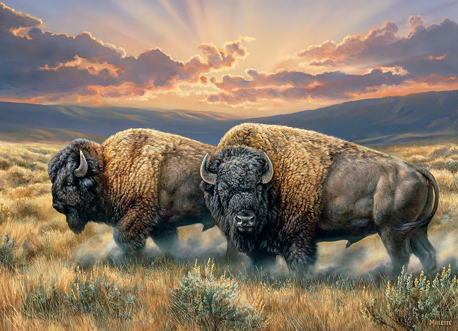 Cobble Hill Dusty Plains puzzle 1000 piese bizoni