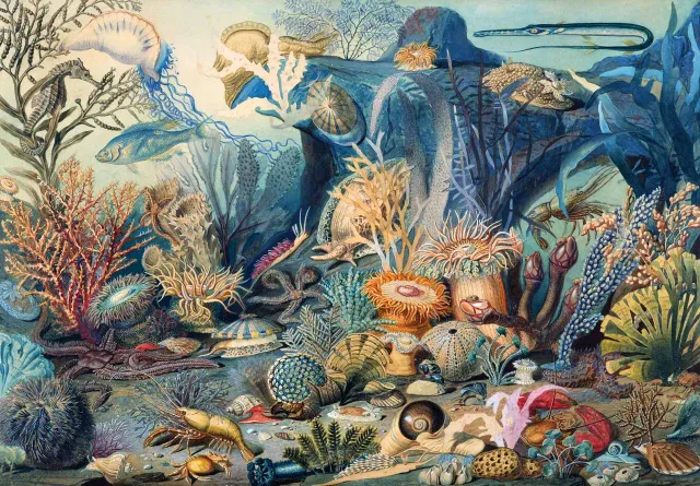 Mosaic Puzzles Ocean Life puzzle lemn 50 piese cu pești