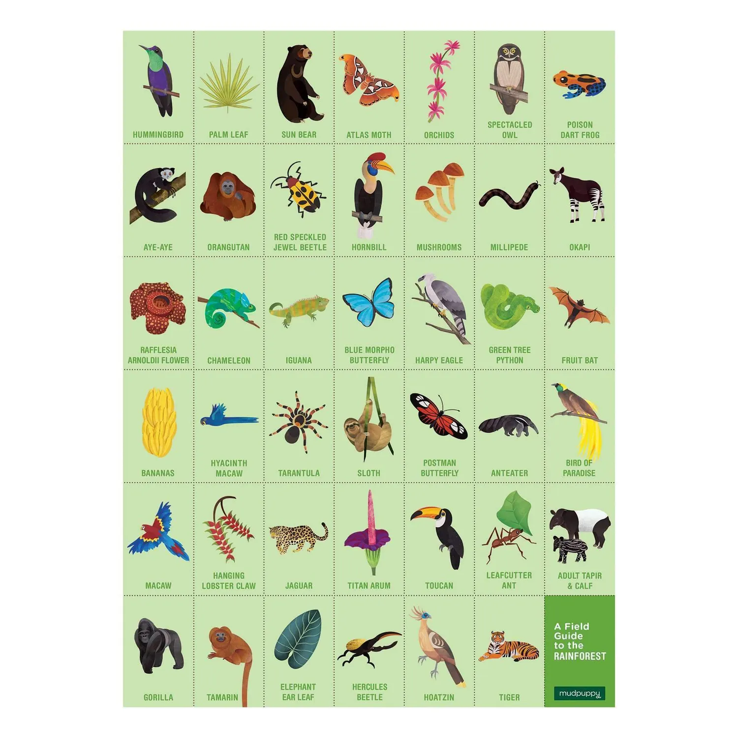 Mudpuppy Rainforest Search Find puzzle 64 piese 59x39 cm