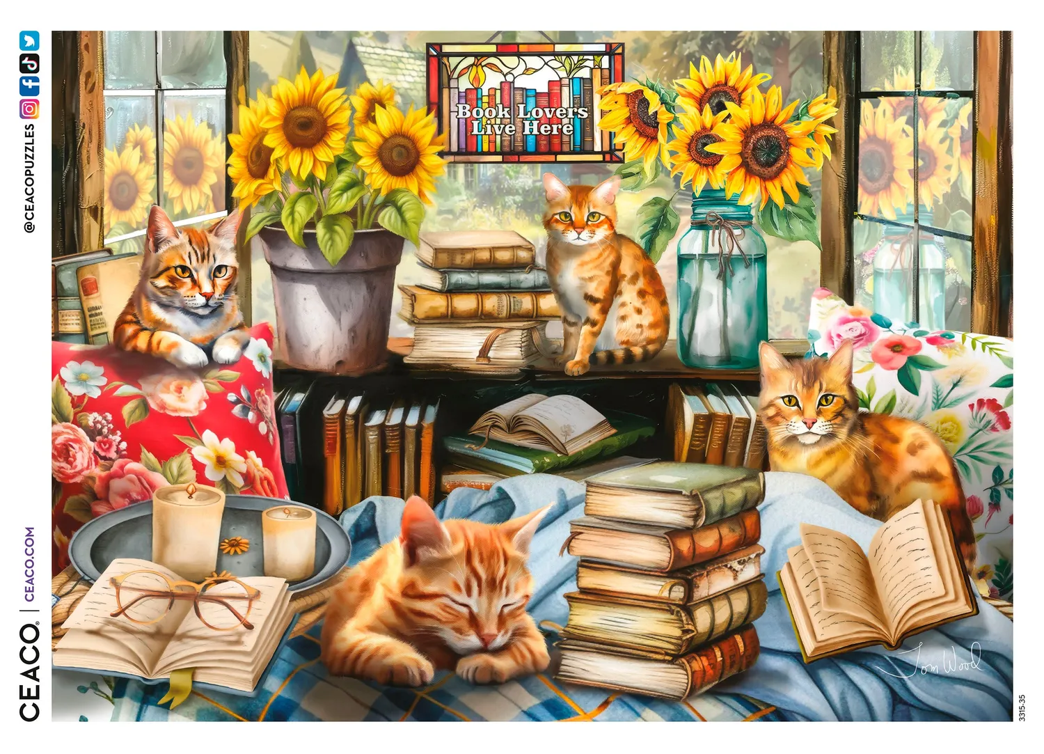 Ceaco Book Lovers Live Here puzzle 1000 piese carti