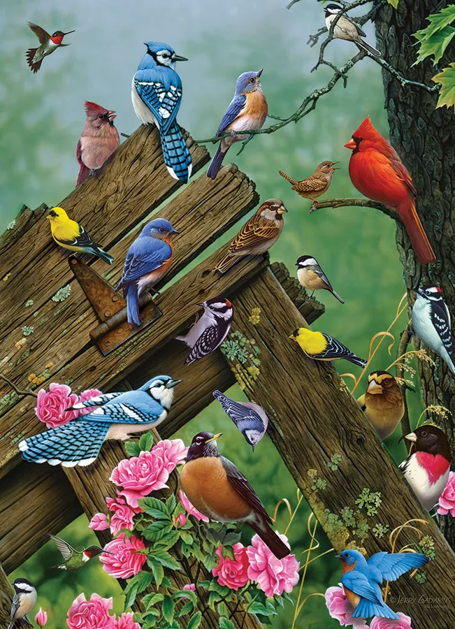 Cobble Hill Birds of the Forest puzzle 1000 piese păsări