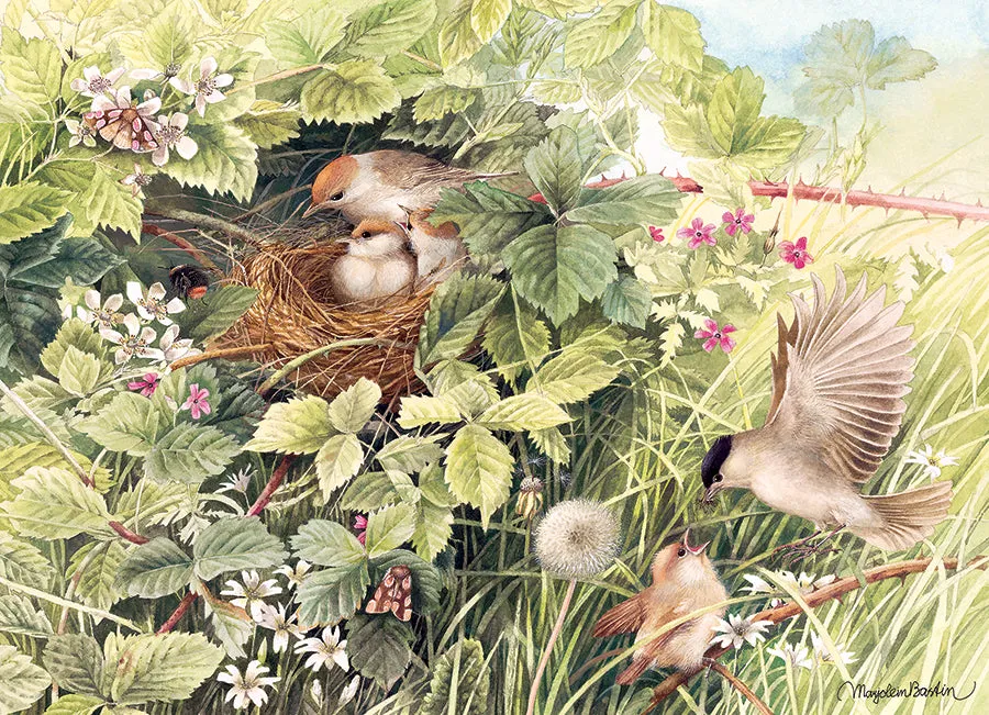 Cobble Hill Hidden Nest puzzle 1000 piese pasari