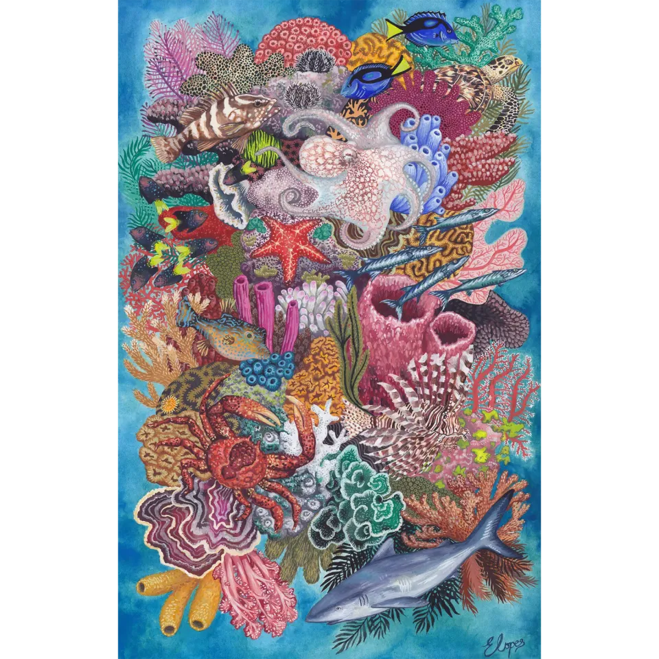 Hidden Piece Puzzles Rock Sound Reef puzzle 534 piese ocean