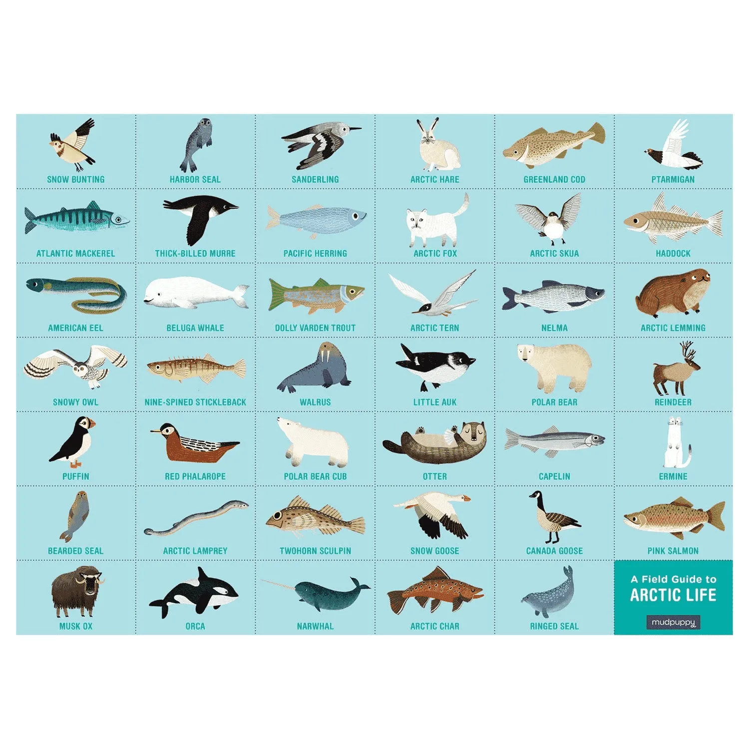 Mudpuppy Arctic Life Search & Find puzzle 64 piese arctic