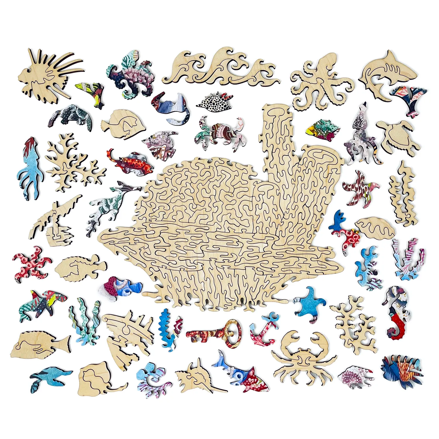 Hidden Piece Puzzles Rock Sound Reef puzzle 534 piese ocean