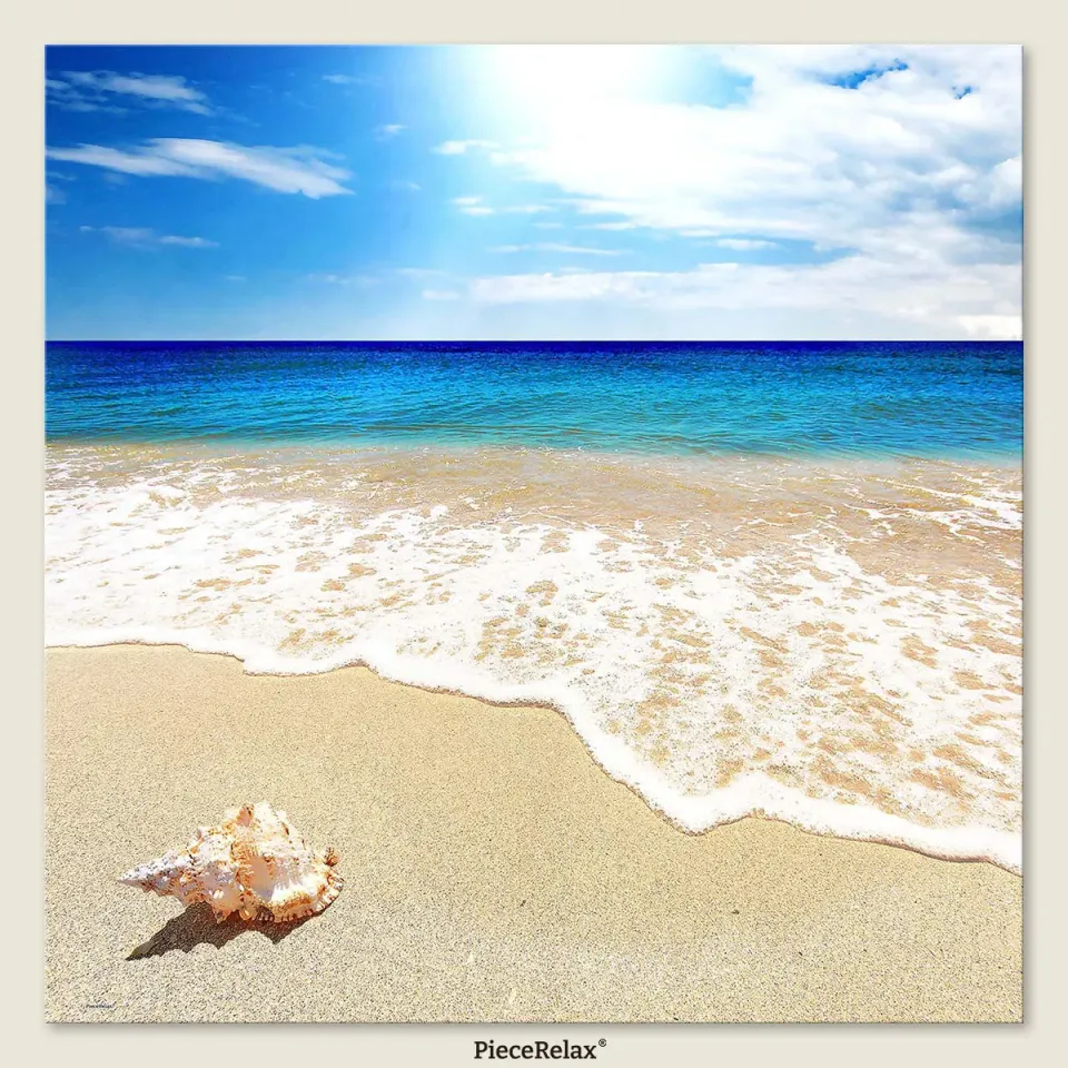 PieceRelax U1136 Seashell puzzle 756 piese marin patrat