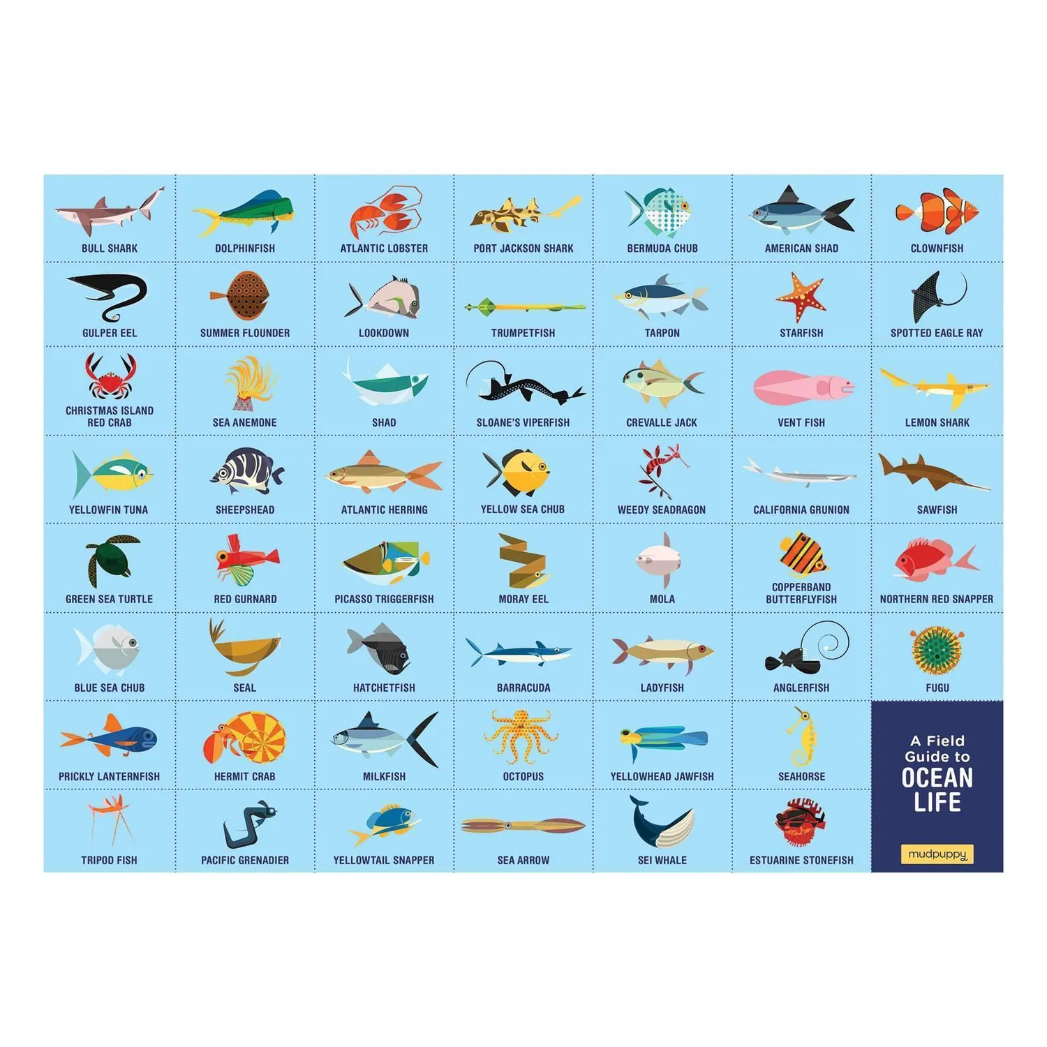 Mudpuppy Ocean Life puzzle caută și găsește 64 piese