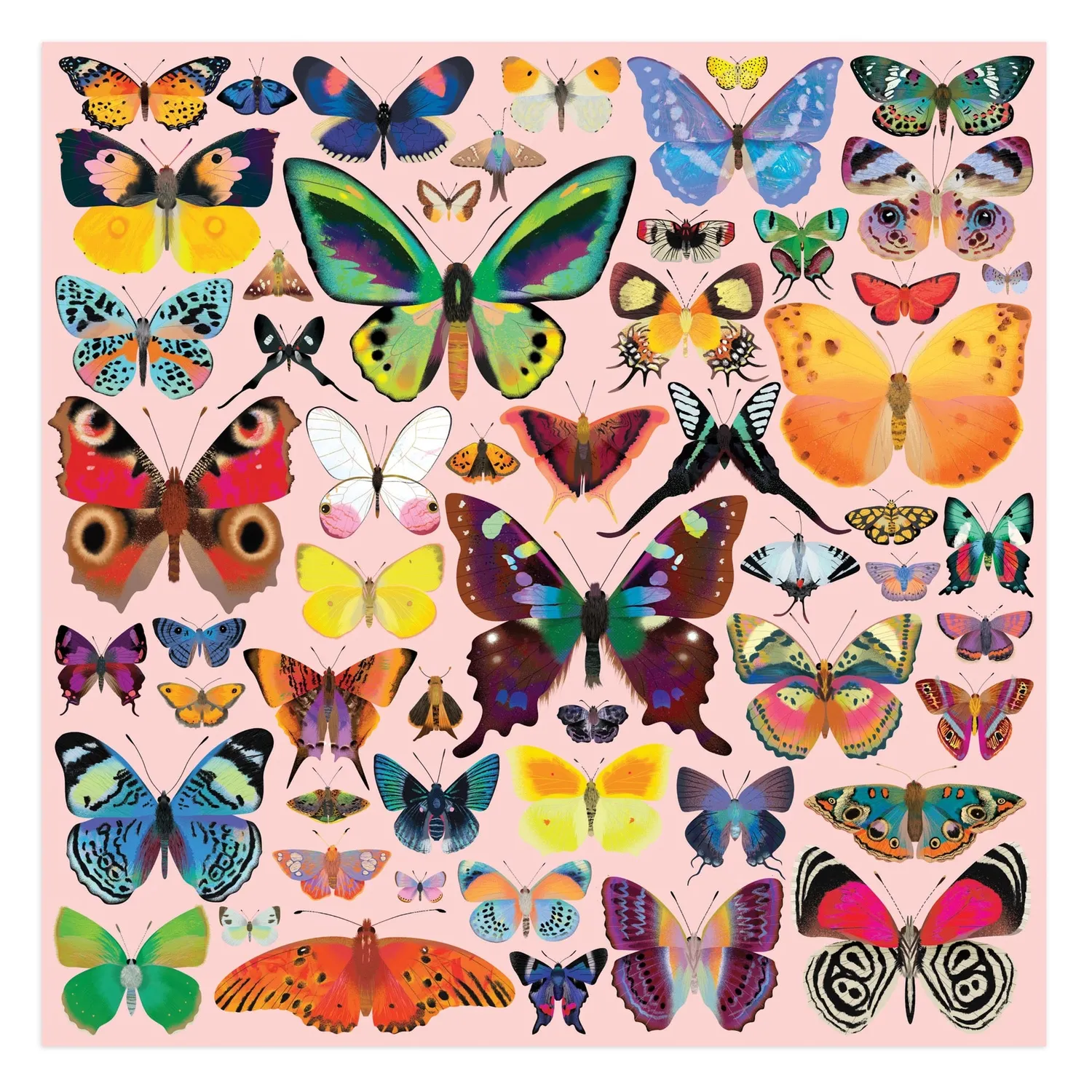 Mudpuppy Brilliant Butterflies puzzle 500 piese fluturi