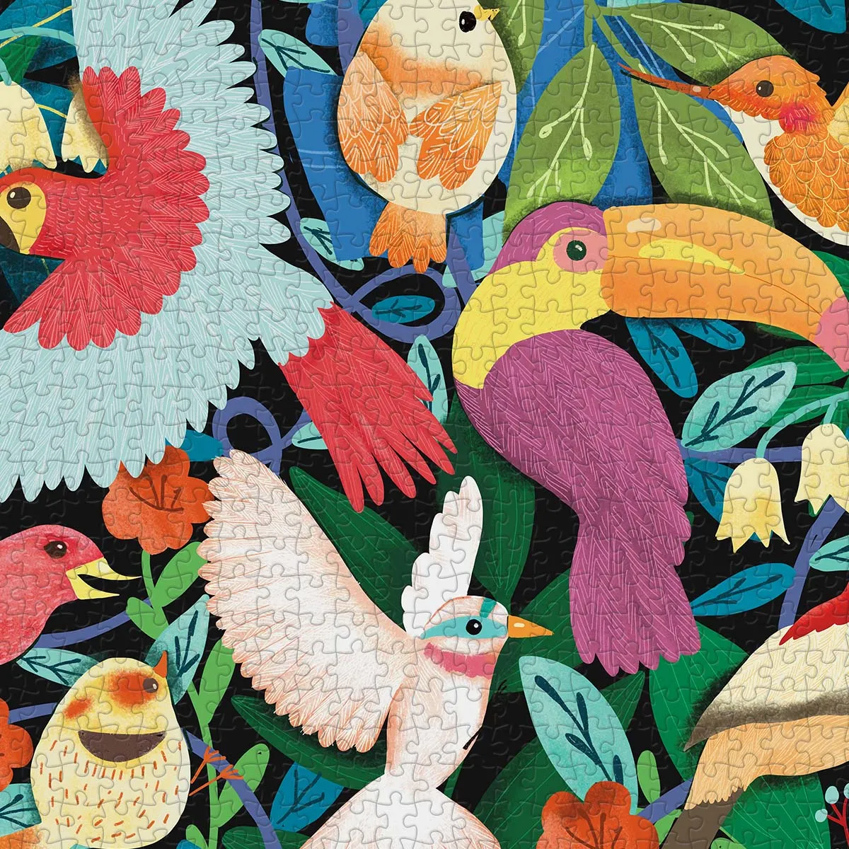 PieceRelax PieceClicks U1086 puzzle 1000 piese păsări exotice