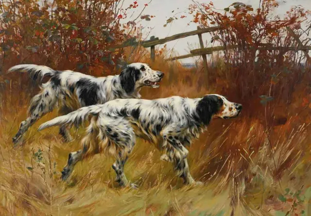 Mosaic Puzzles English Setters puzzle lemn 1000 piese caini