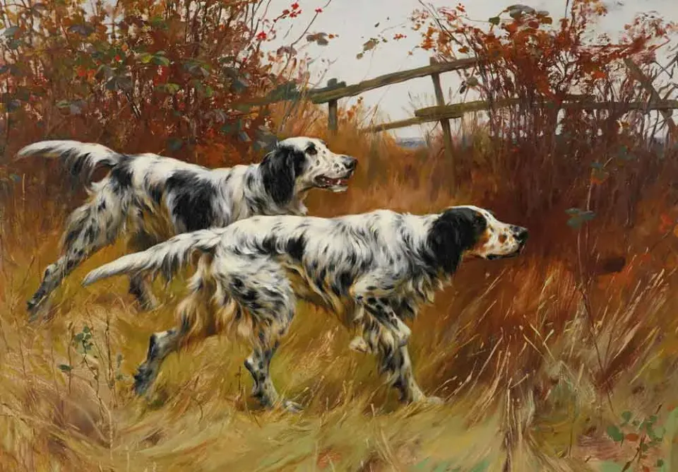 Mosaic Puzzles English Setters puzzle lemn 1000 piese caini