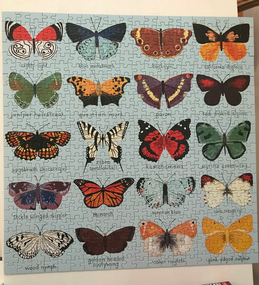 Mudpuppy Butterflies North America puzzle 500 piese fluturi