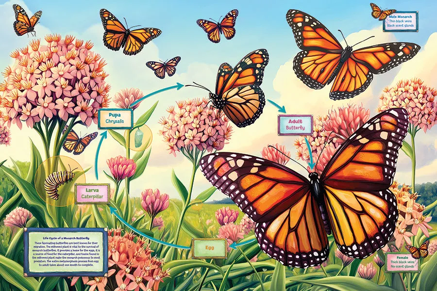 Cobble Hill Life Cycle of a Monarch puzzle podea 35 piese
