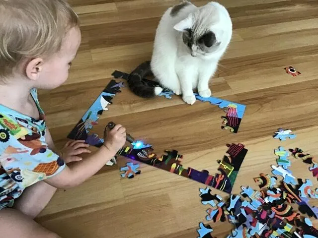 Mudpuppy Ocean Predators puzzle 100 piese glow 5+ ani