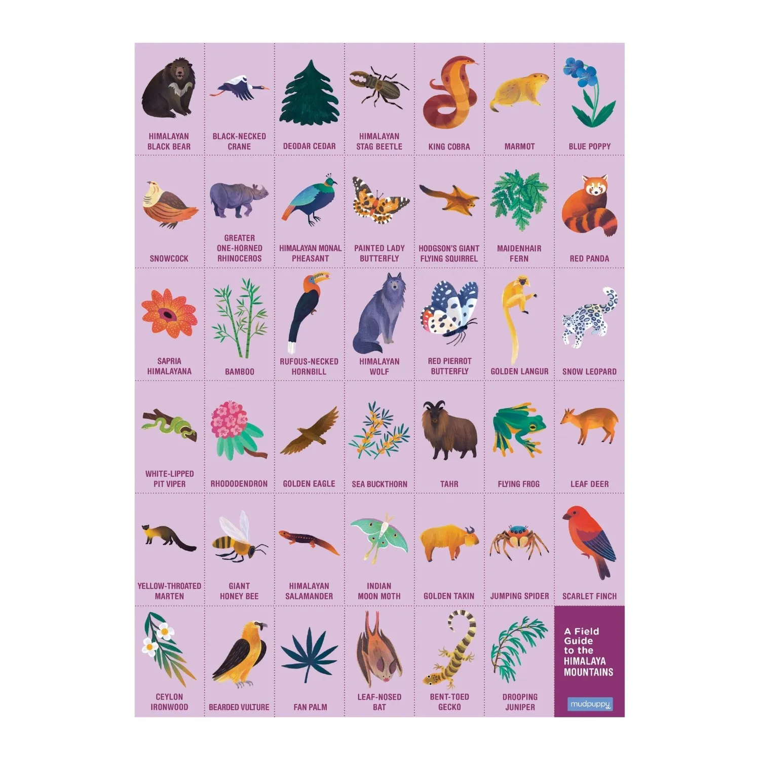 Mudpuppy In the Mountains puzzle 64 piese caută
