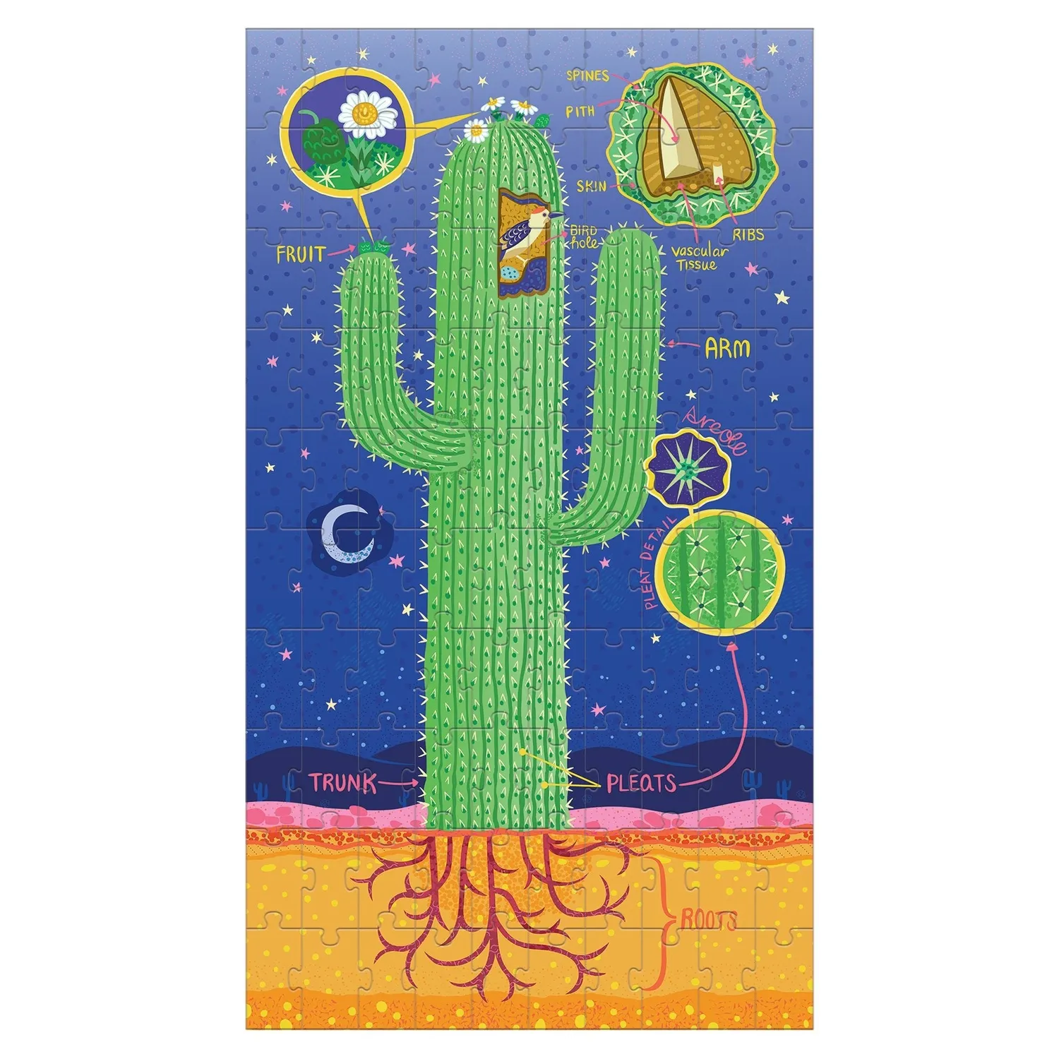 Mudpuppy Plant Anatomy puzzle copii 3x100 piese