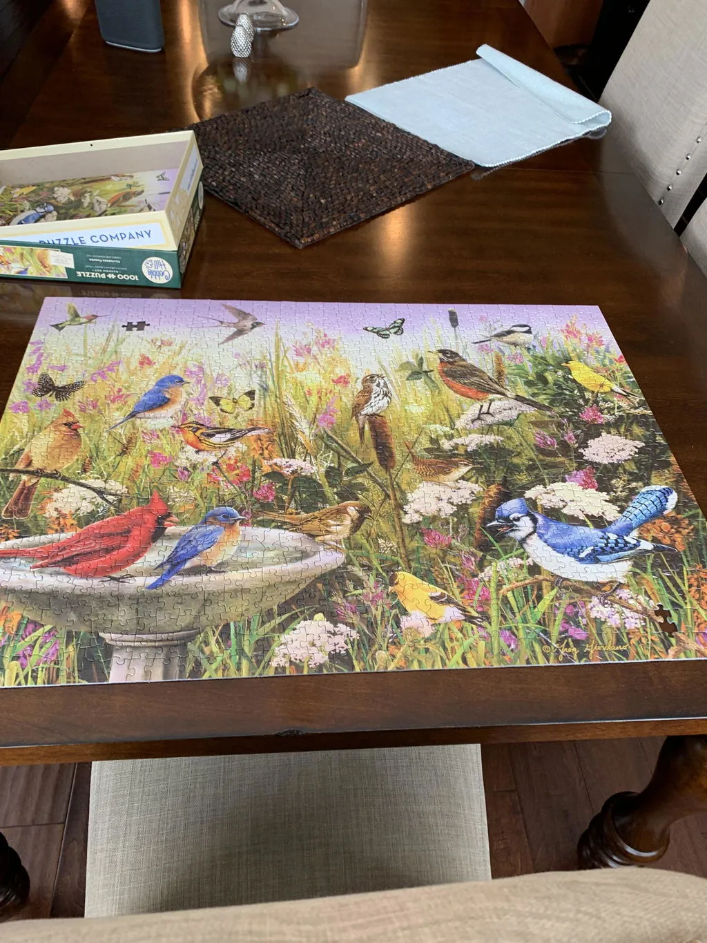 Cobble Hill Feathered Friends puzzle 1000 piese păsări