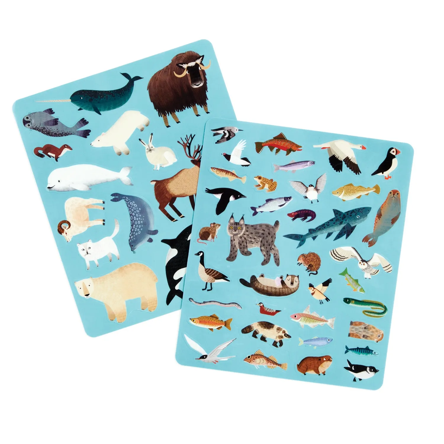 Mudpuppy Arctic Life set stickere reutilizabile 50+ piese